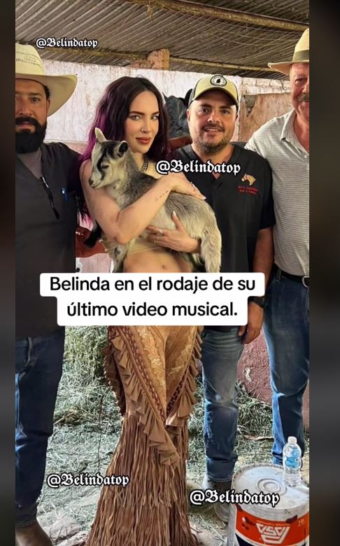 Foto embed