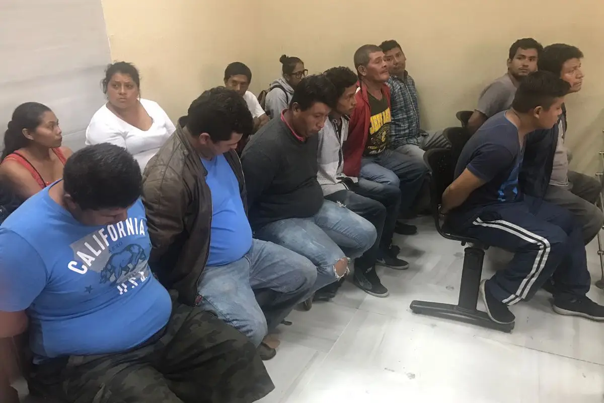 Quedan en libertad los hombres que cortaron árboles en zona 13, 