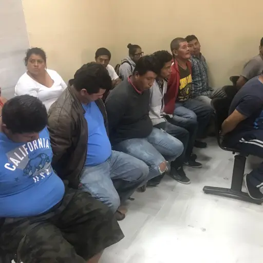 Quedan en libertad los hombres que cortaron árboles en zona 13 ,