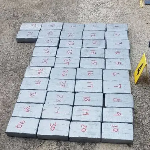 Cocaína bodegas PNC