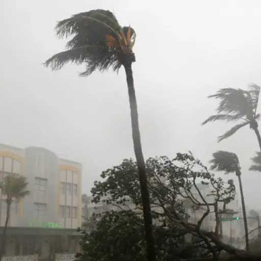 Huracanes y cambio climático, son necesarias más pruebas-001 ,