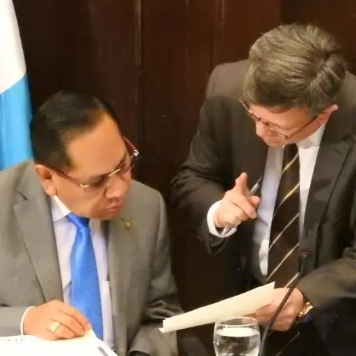 comision pesquisidora ,