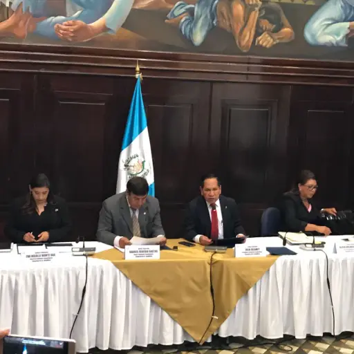 comision pesquisidora ,