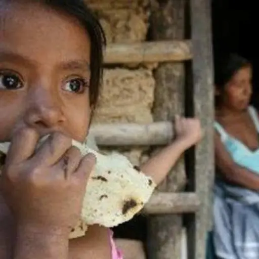 DESNUTRICION CRONICA ,