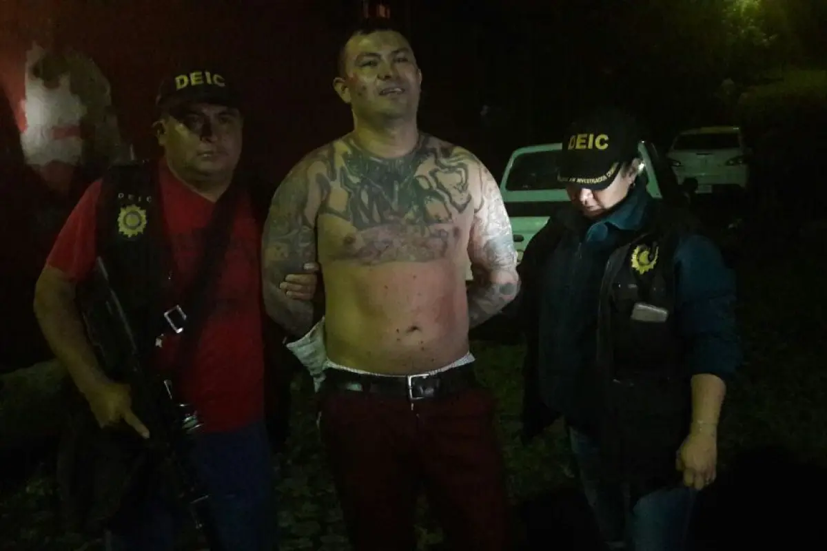 WhatsApp Image 2017-10-13 at 20.48.40 (1), 