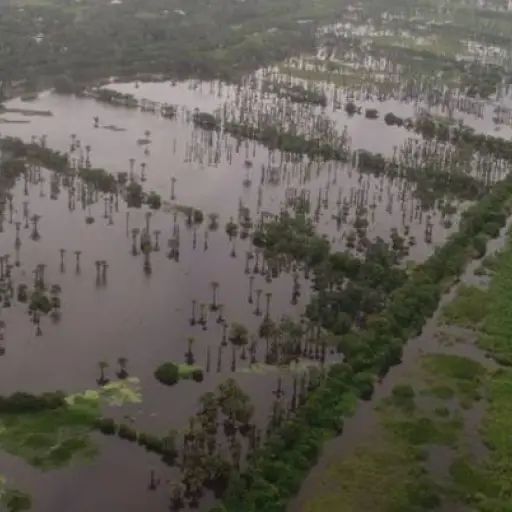 Foto ilustrativa de archivo.
