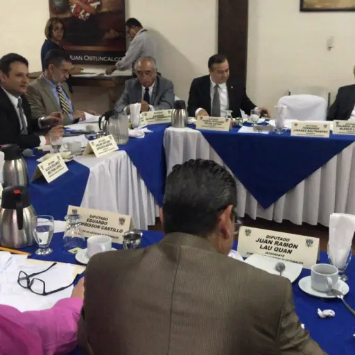 Comisión de Asuntos Electorales ,