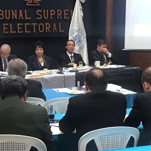 Comisión de asuntos electorales ,