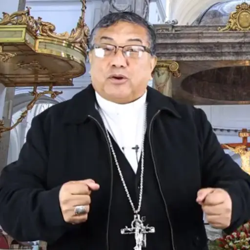 MONSEJOR JULIO VIAN ,