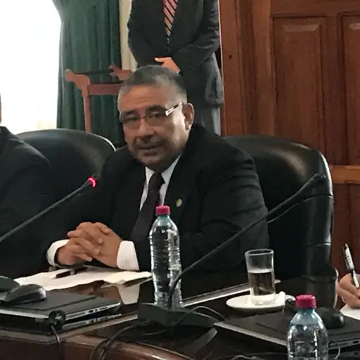 JOSE PINEDA BARALES ,