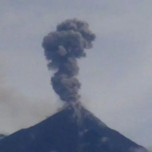 WhatsApp Image 2017-10-03 at 22.26.41 ,