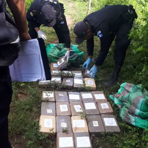 Más droga cerca de narcoavioneta