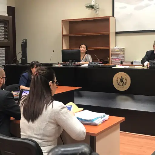 Caso La Línea Roxana Baldetti ,