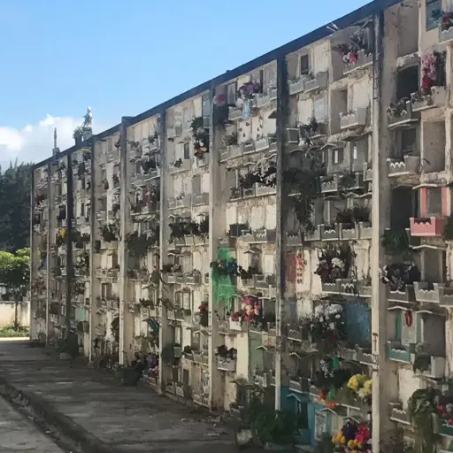 Cementerio La Verbena panteones