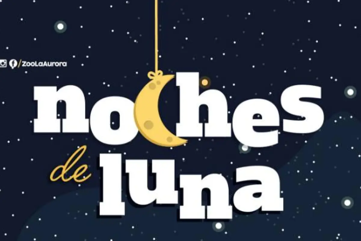 Noches de luna Zoológico La Aurora