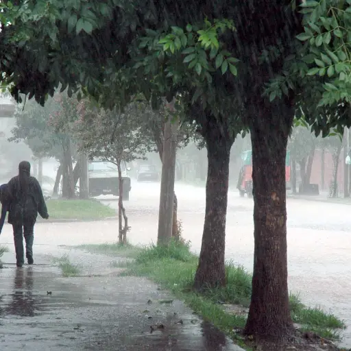 Según el pronostico, las lluvias podrían ocurrir durante la tarde y noche. ,ArchivoEU.