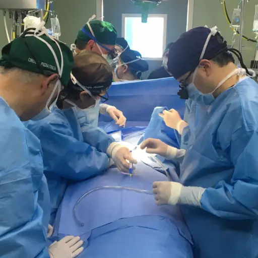 Labor de separación de "las Esmeraldas" ,