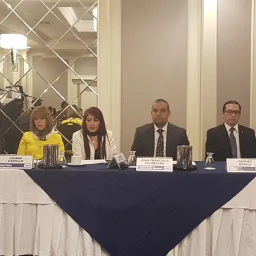 SAT Comités de Usuarios en Aduanas