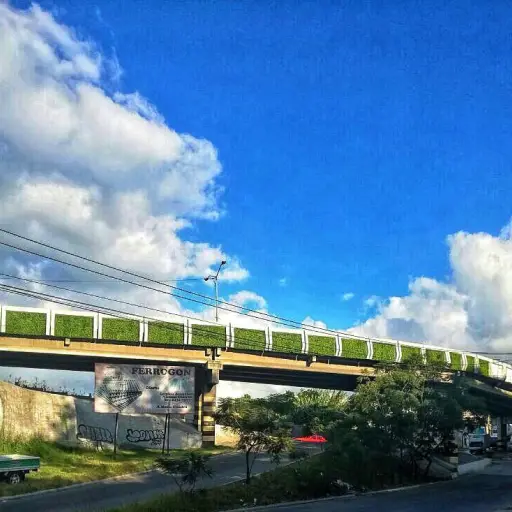 Neto Bran puente El Caminero