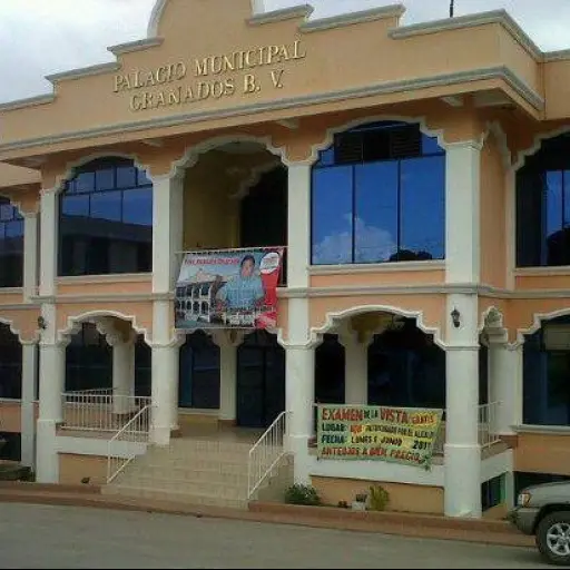 municipalidad de granados ,