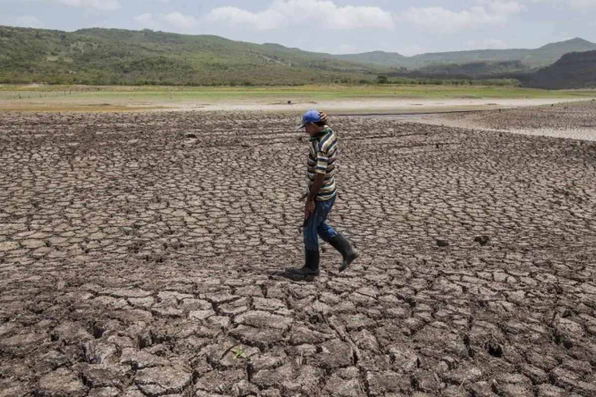 Con Trump, EE.UU. incumplirá sus objetivos contra el cambio climático, según informe, 