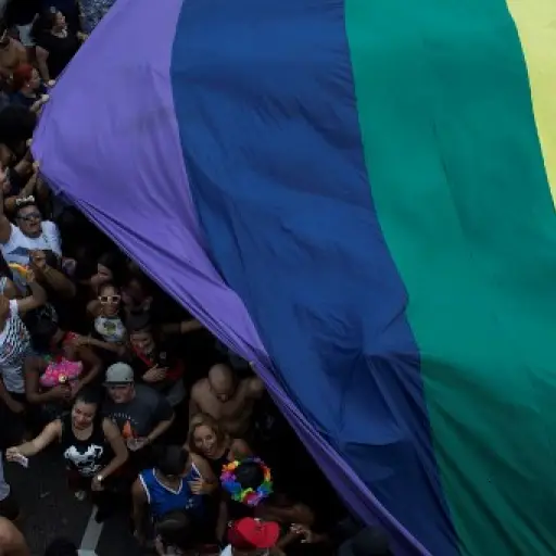 BRAZIL-LGBT-PRIDE-PARADE ,