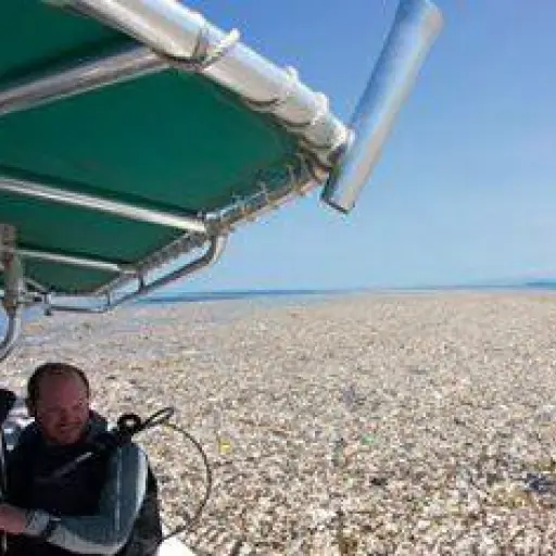 Contaminación río Motagua a Roatán