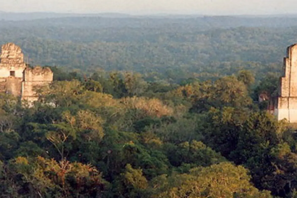 ttikal, 