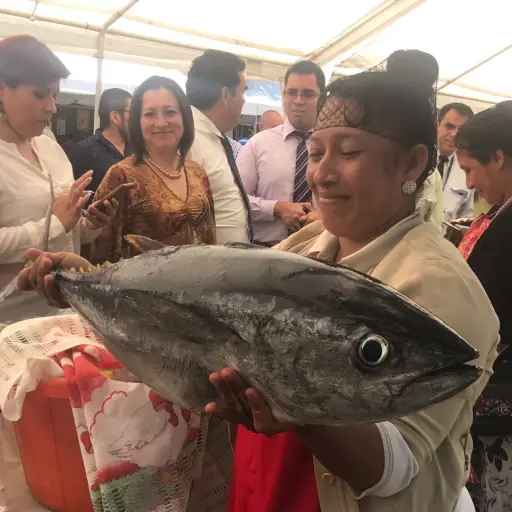 Feria de pesca artesanal