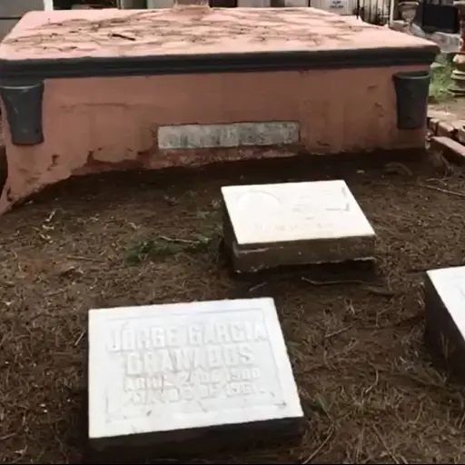 LA NIÑA DE GUATEMALA ,