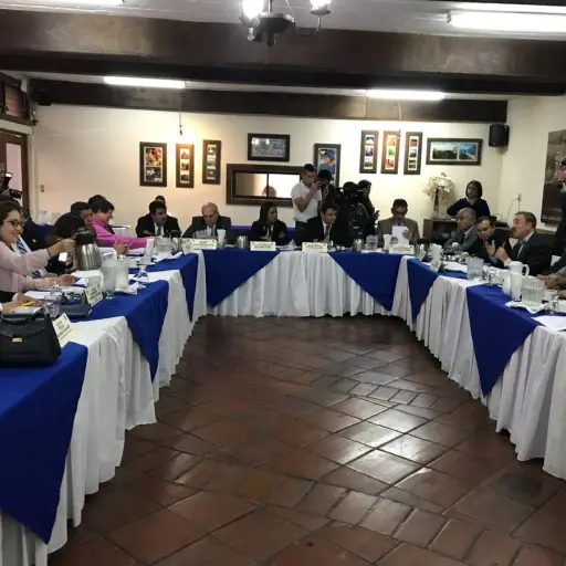 Comisión de Asuntos Electorales ,