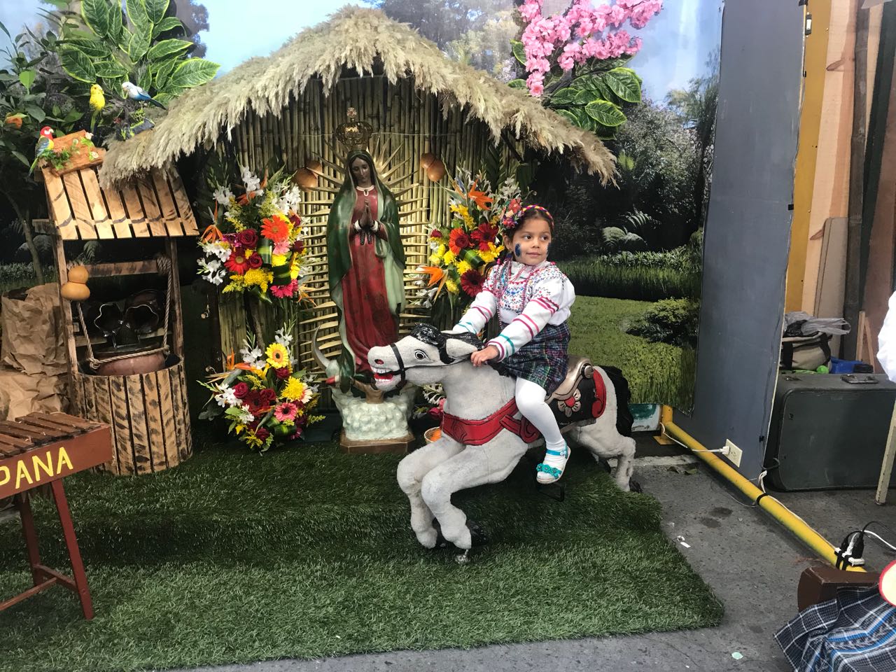 GUADALUPE17 | 