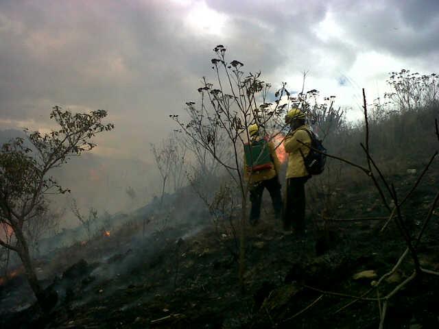 incendios f | 