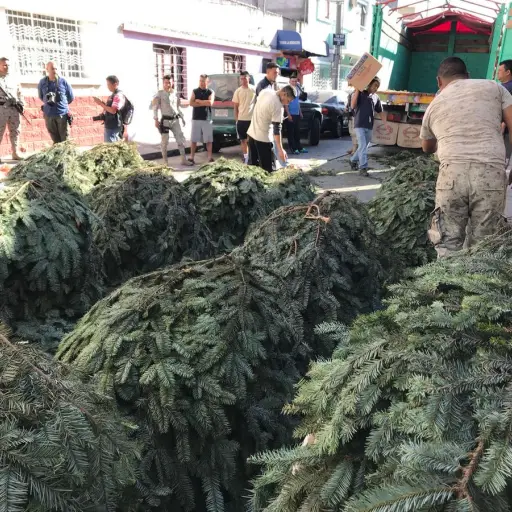Capturas por pinabete Guatemala Emisoras Unidas EU ,