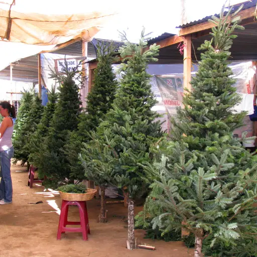 3124377384_5e1d5a8c7e_b ,