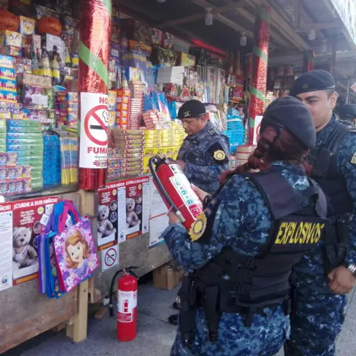 Las autoridades recalcaron que los padres son los primeros responsables de la seguridad de los niños. ,ArchivoEU.