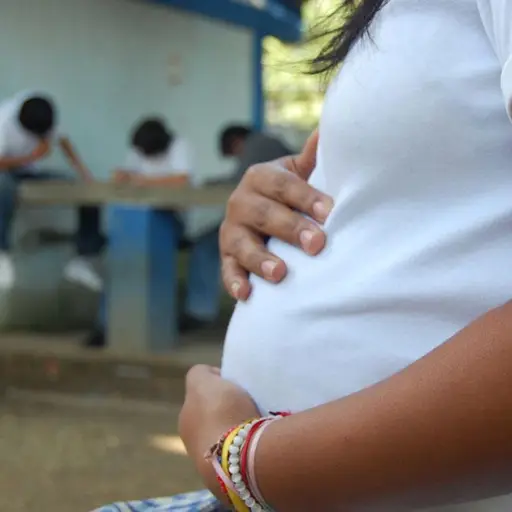 Embarazo-adolescente ,