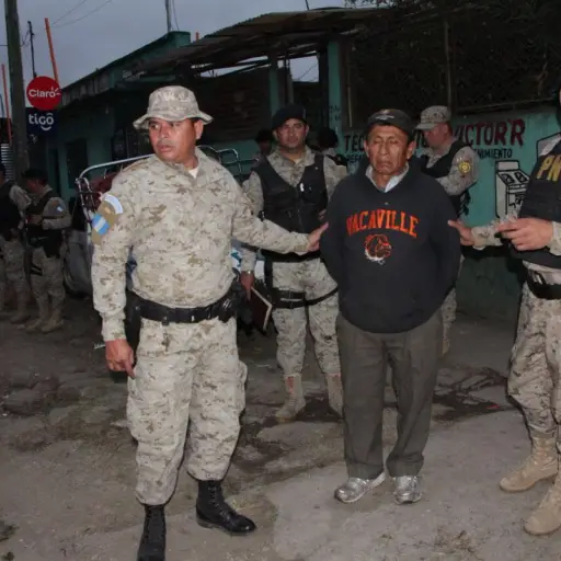 Decomiso de pinabete ,