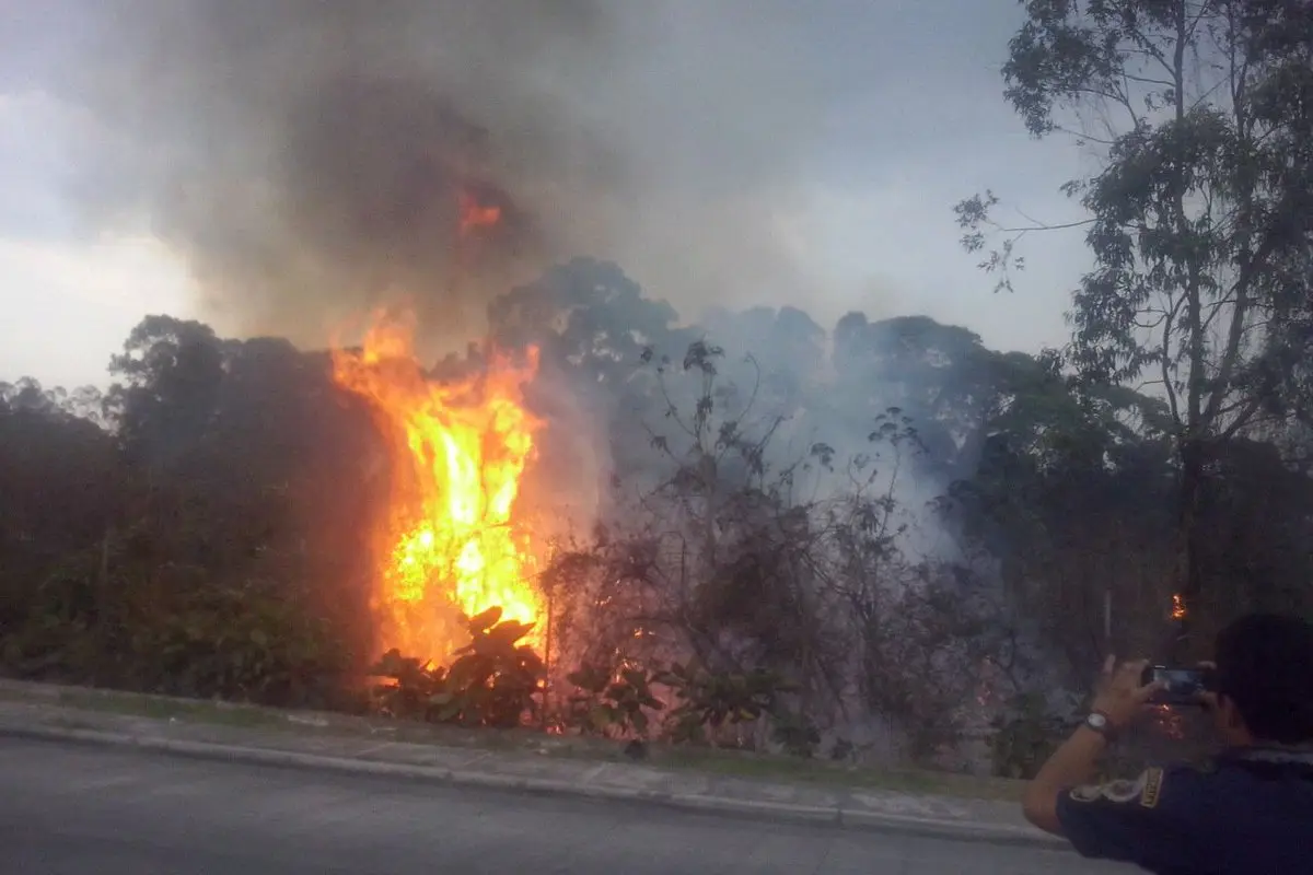 Incendio Forestal, 