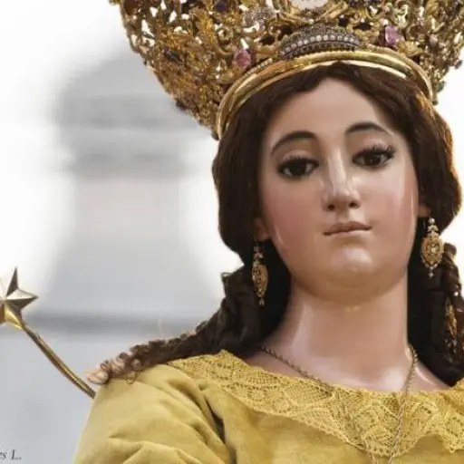 virgen de concepcion ,