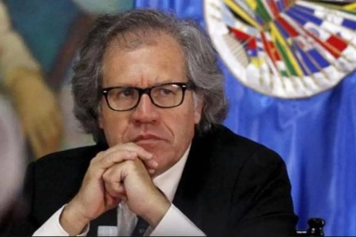 LUIS ALMAGRO, 