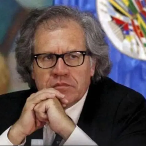 LUIS ALMAGRO ,
