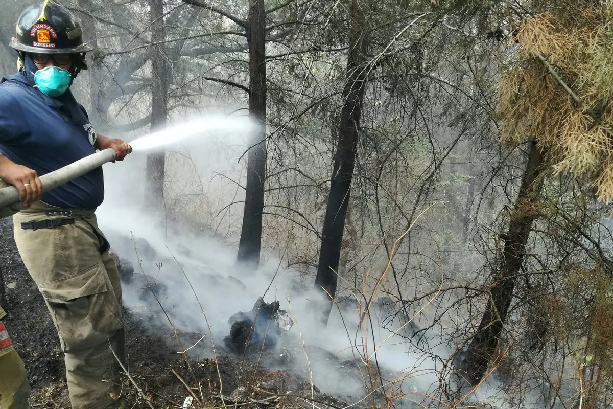 Incendio forestal, 