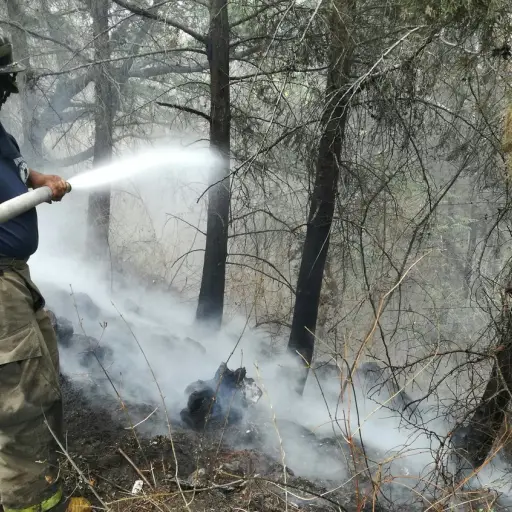 Incendio forestal ,