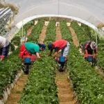 Sector industrial rechaza aumento al salario mínimot