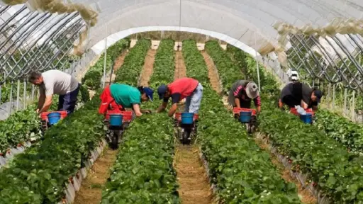 Foto ilustrativa de archivo.