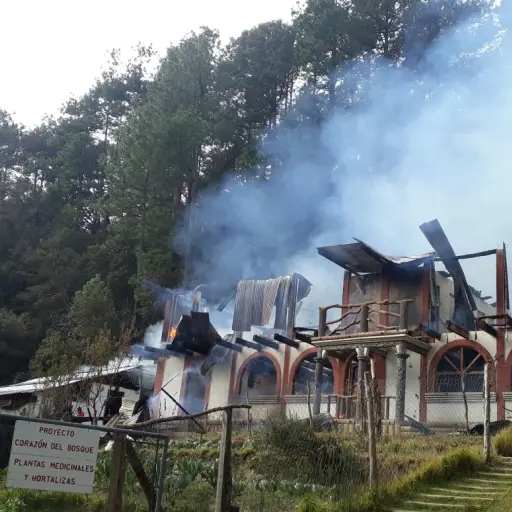 corazon del bosque ,