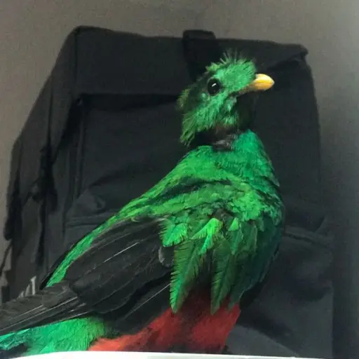 El Quetzal EU Emisoras Unidas Guatemala ,