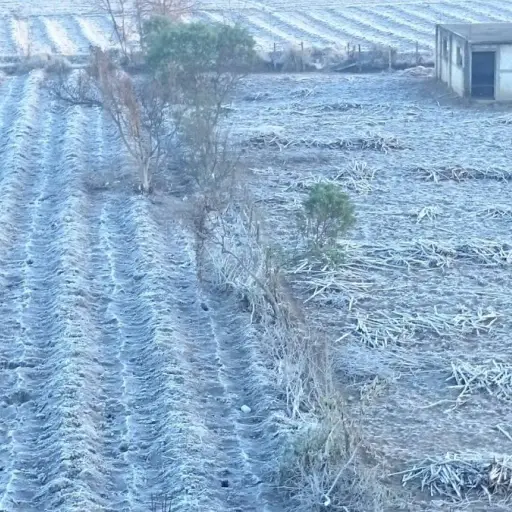 Clima y cultivos EU Emisoras unidas Guatemala ,