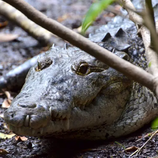 25398116_10213822640736926_8486794906685641098_o ,